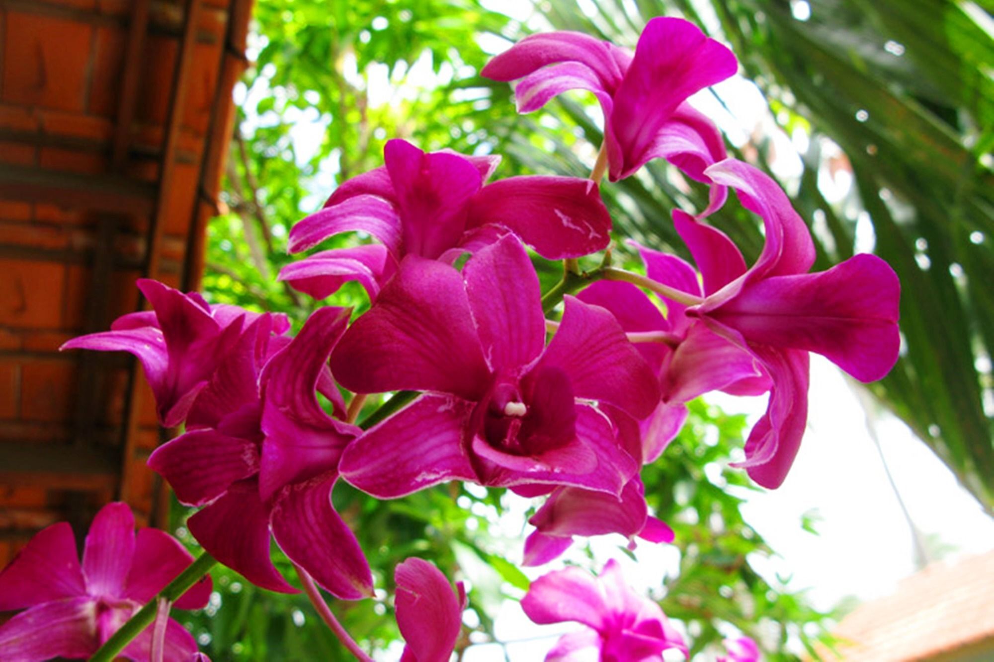 Hiep Hoa Resort Mui Ne Luaran gambar